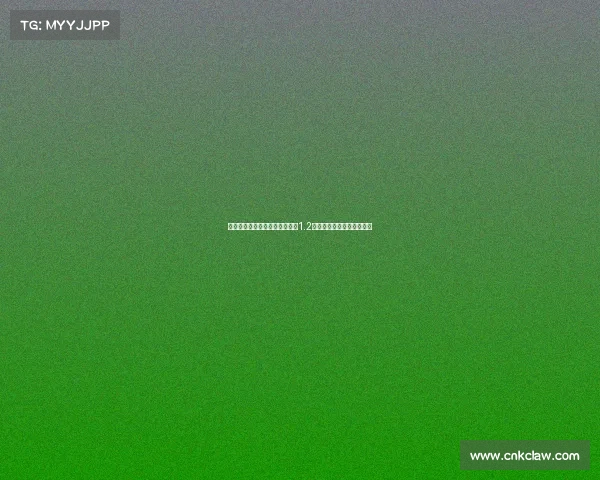 罗马诺曝利物浦向纽卡斯尔提出1.2亿镑加浮动报价求购伊萨克